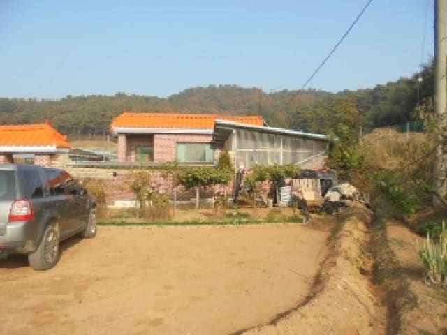 B000282202501300205452.jpg