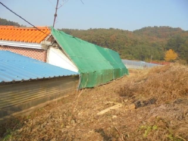 B000282202501300205454.jpg