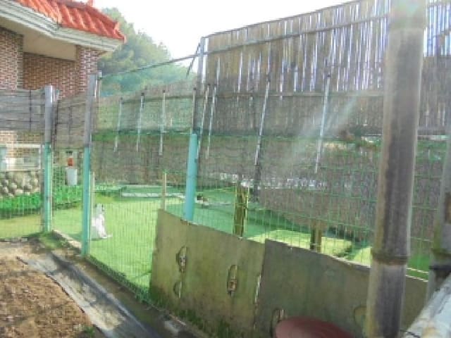 B000282202501300205451.jpg