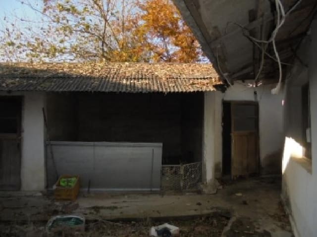 B000282202501300205528.jpg