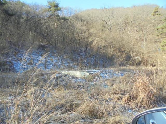 B000282202501300205552.jpg