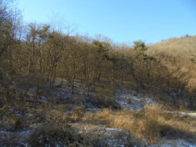 B000282202501300205551.jpg