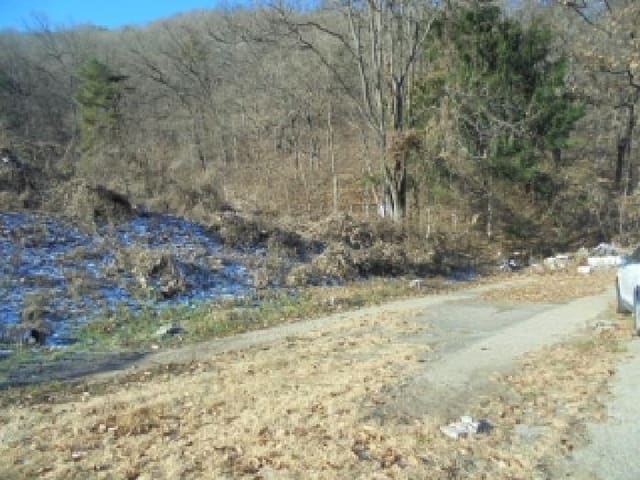 B000282202501300205553.jpg