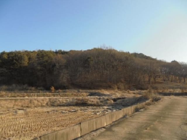 B000282202501300205581.jpg