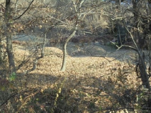 B000282202501300205802.jpg