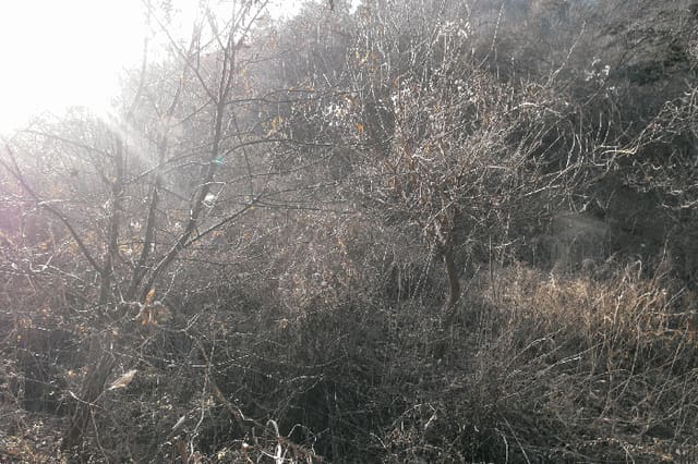 B000282202501300205882.jpg