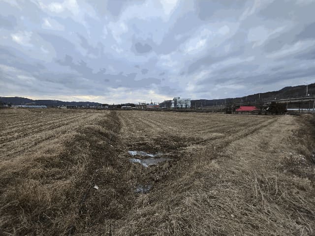 B000282202601300200003.jpg