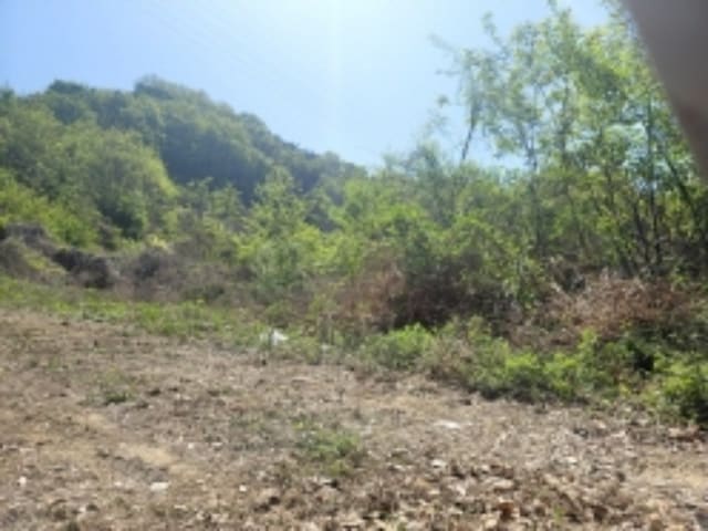 B000283202301301040713.jpg