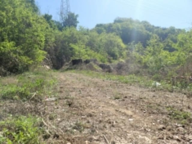 B000283202301301040712.jpg