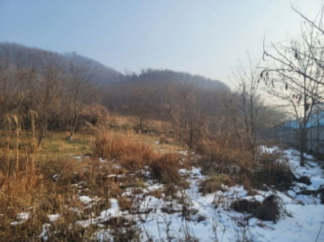 B000283202301301140302.jpg