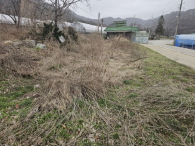 B000283202401300017801.jpg
