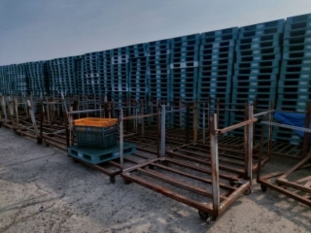 B000283202401300061122.jpg