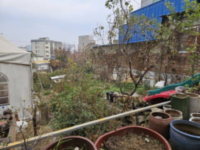 B000283202401301152693.jpg