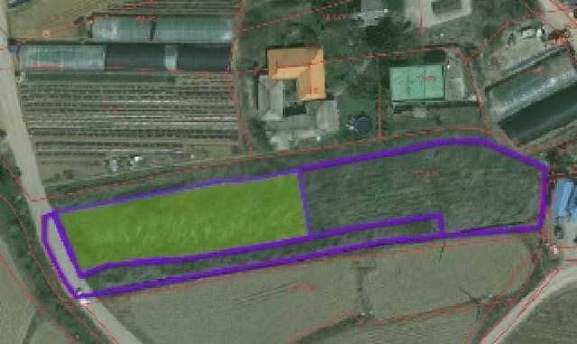 B000283202501300003881.jpg