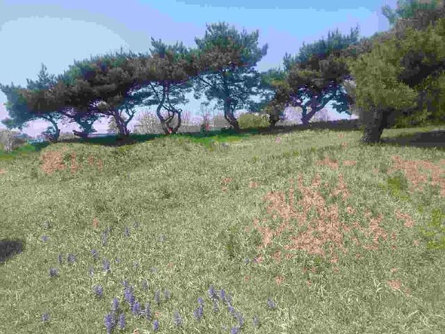 B000283202501300004513.jpg