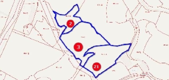 B000283202501300004583.jpg