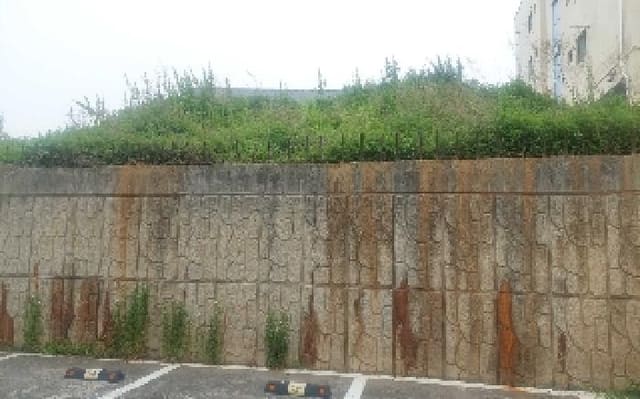 B000283202501300004914.jpg