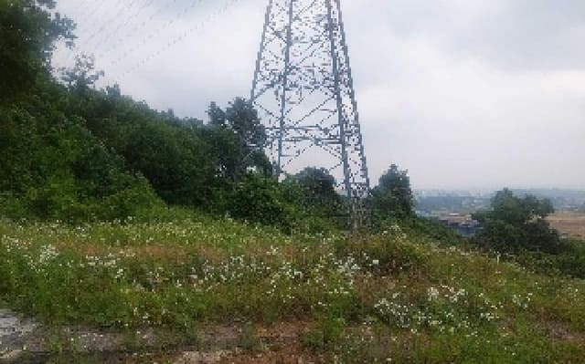 B000283202501300005142.jpg