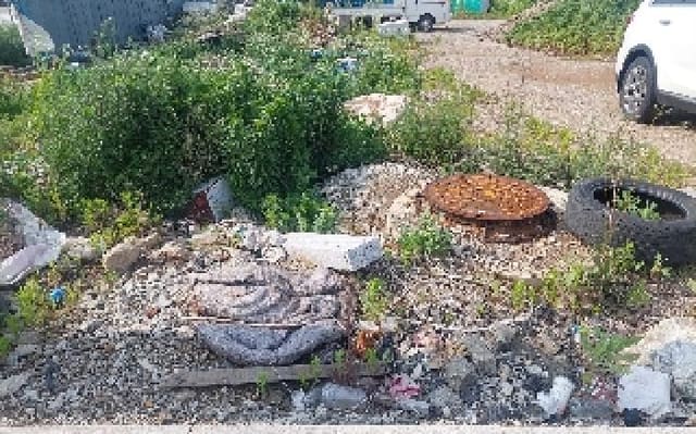 B000283202501300005381.jpg