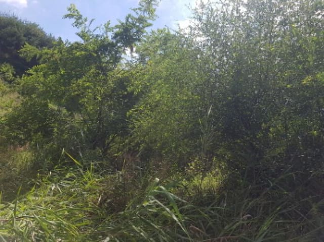 B000283202501300006401.jpg