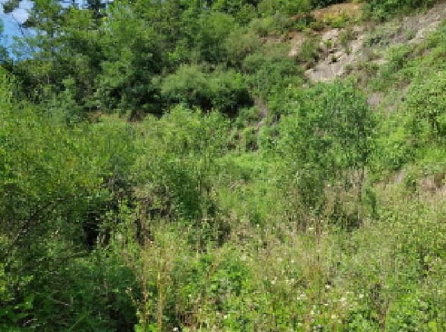 B000283202501300006404.jpg