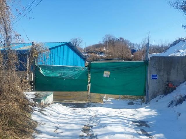B000283202501300103859.jpg