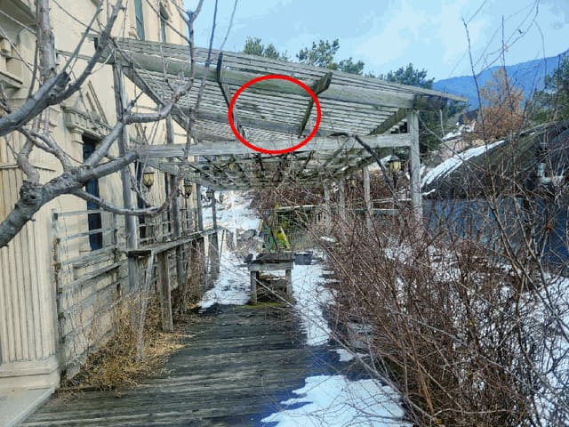 B0002832025013001095831.jpg
