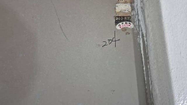 B000283202501300115333.jpg