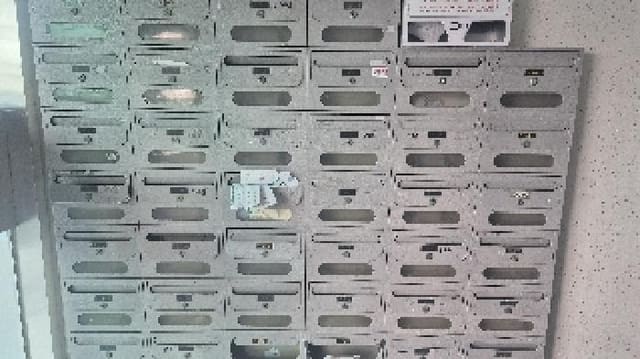 B000283202501300115962.jpg