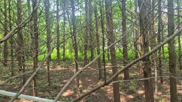 B000283202501300117333.jpg