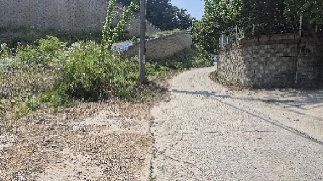 B000283202501300118091.jpg