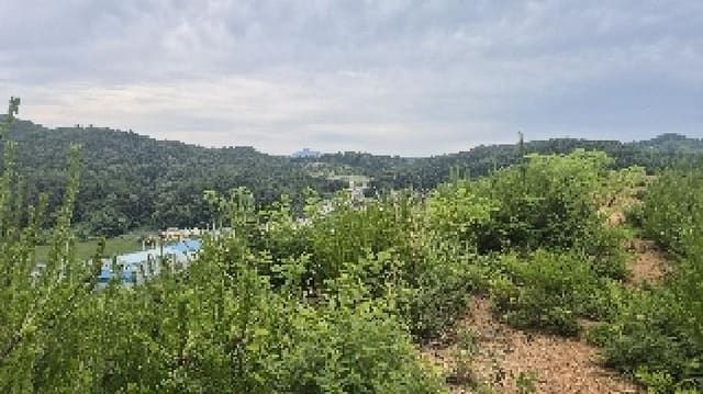 B000283202501300118551.jpg