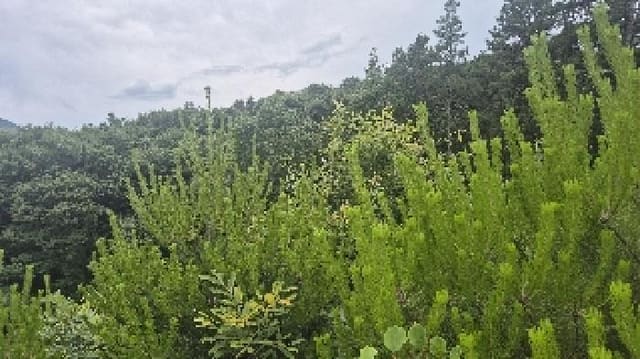 B000283202501300118552.jpg