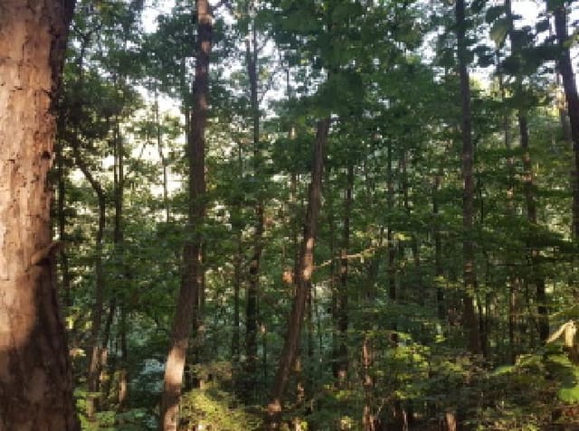 B000283202501300119482.jpg