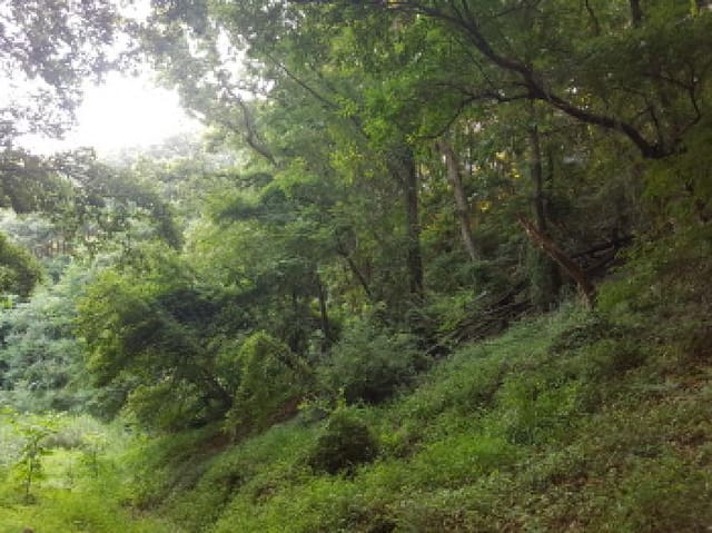 B000283202501300119481.jpg