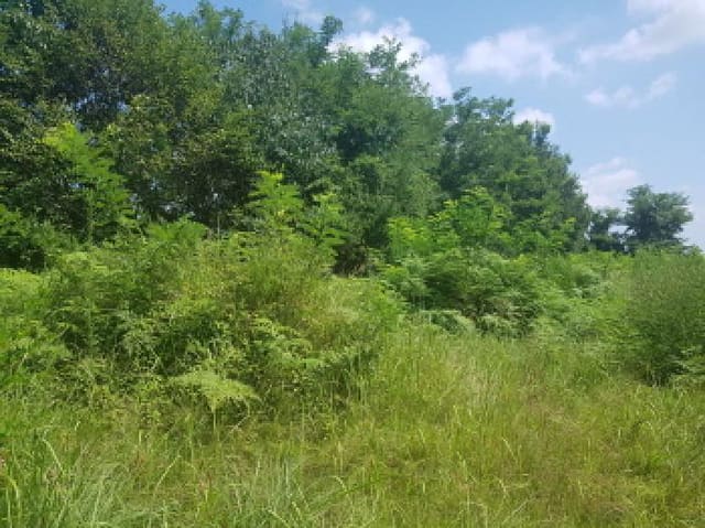 B000283202501300119892.jpg