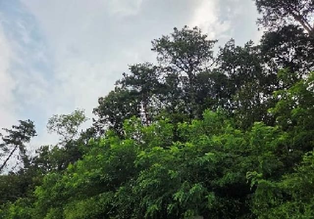 B000283202501300120764.jpg
