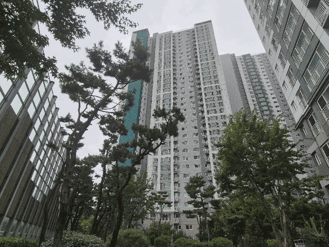 B000283202501300124683.jpg