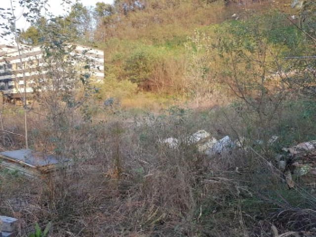 B000283202501300125514.jpg