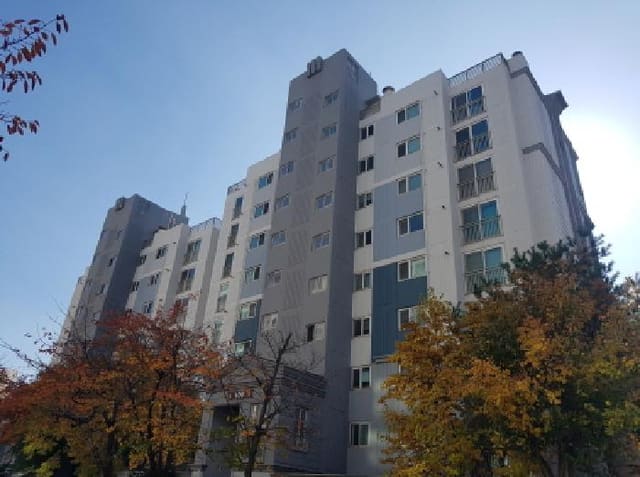 B000283202501300126631.jpg