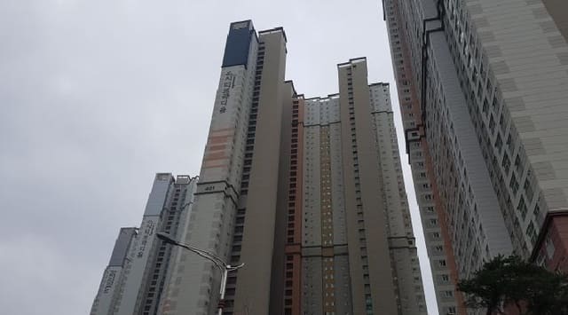 B000283202501300128284.jpg