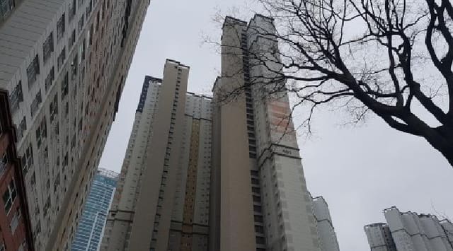 B000283202501300128282.jpg