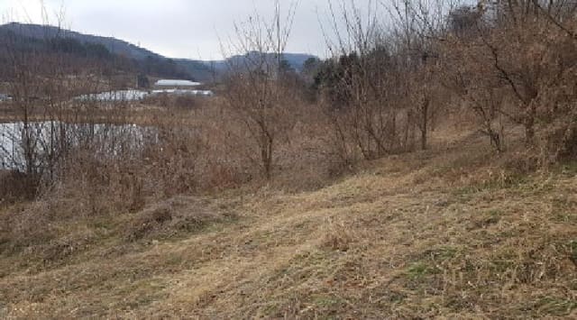 B000283202501300128943.jpg