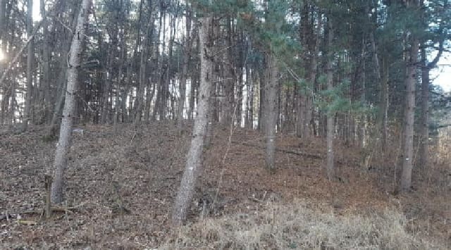 B000283202501300129912.jpg