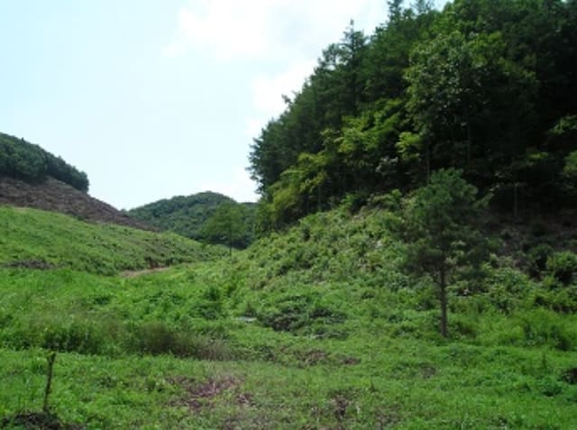 B000284202201300007861.jpg