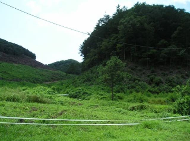B000284202201300007862.jpg