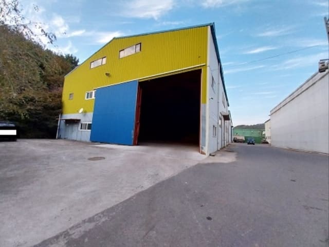 B000284202401300011341.jpg