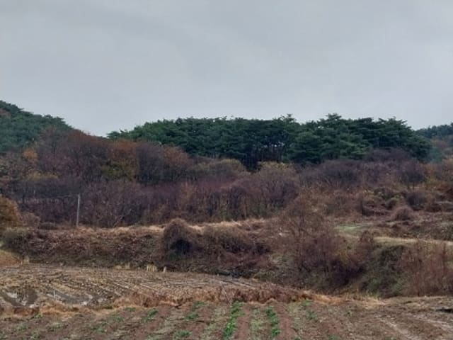 B000284202401300012332.jpg