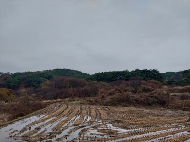 B000284202401300012331.jpg