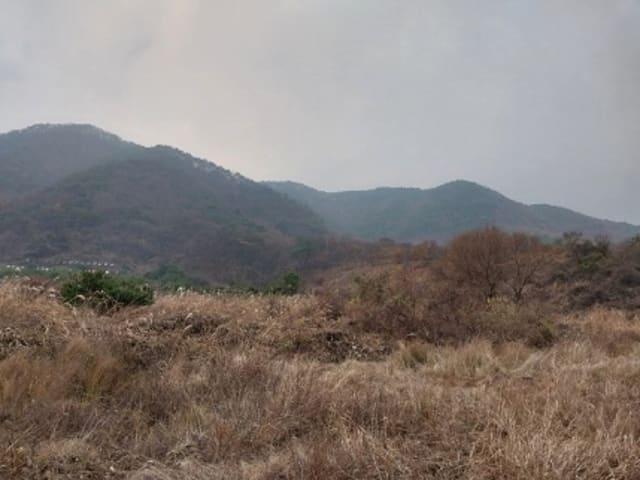 B000284202401300013322.jpg